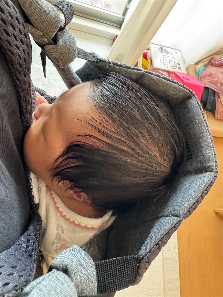 f:id:masayuki5160:20250602062044j:image