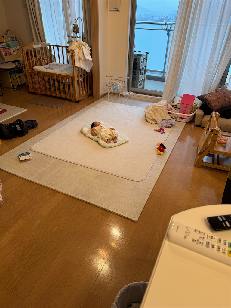f:id:masayuki5160:20250603134411j:image