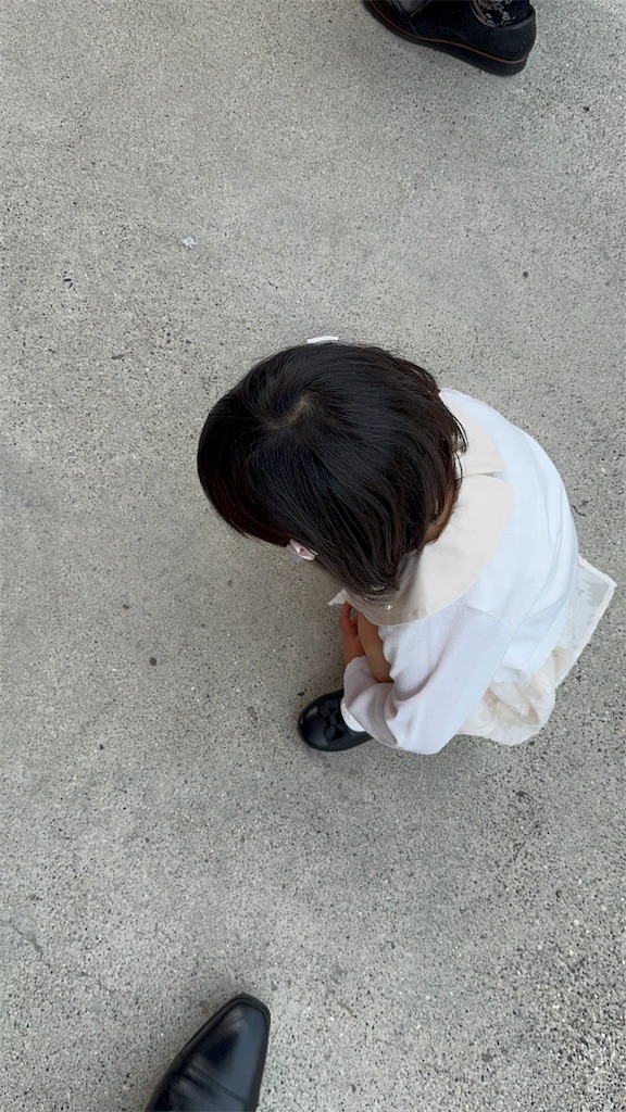 f:id:masayuki5160:20250607153932j:image