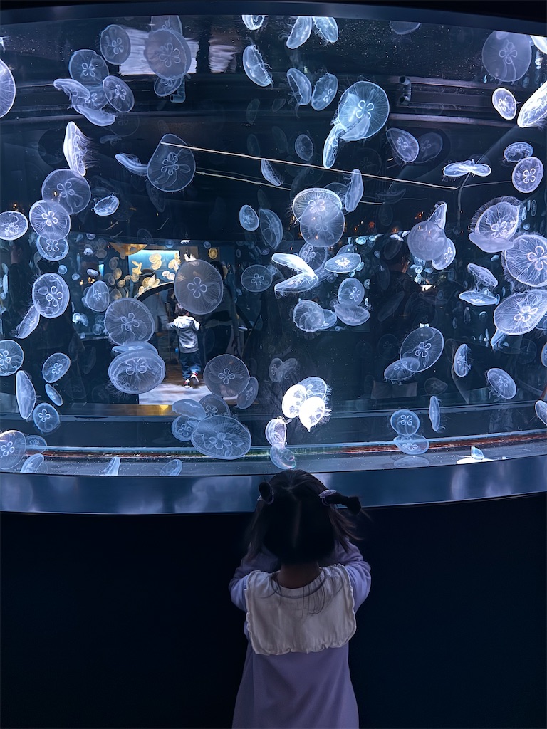 f:id:masayuki5160:20260218113605j:image