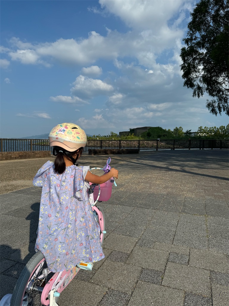 f:id:masayuki5160:20260720172134j:image f:id:masayuki5160:20260720172134j:image