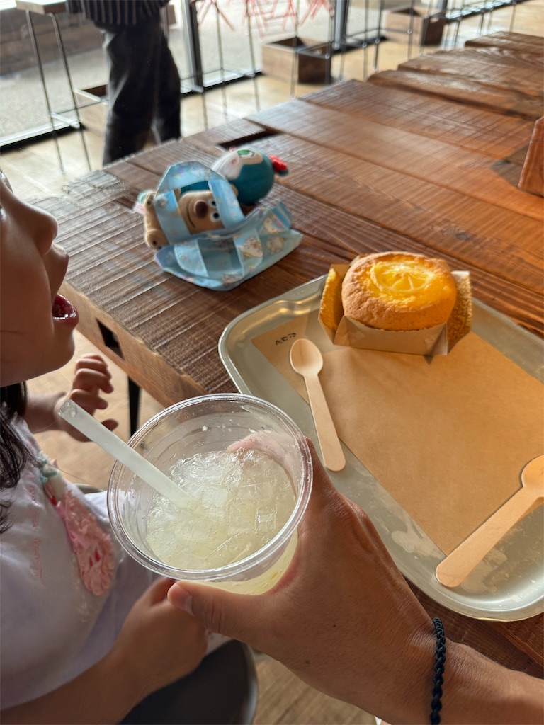 f:id:masayuki5160:20260809062034j:image