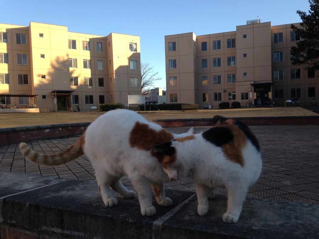 f:id:masayukigt:20180923142214j:plain f:id:masayukigt:20180923142214j:plain