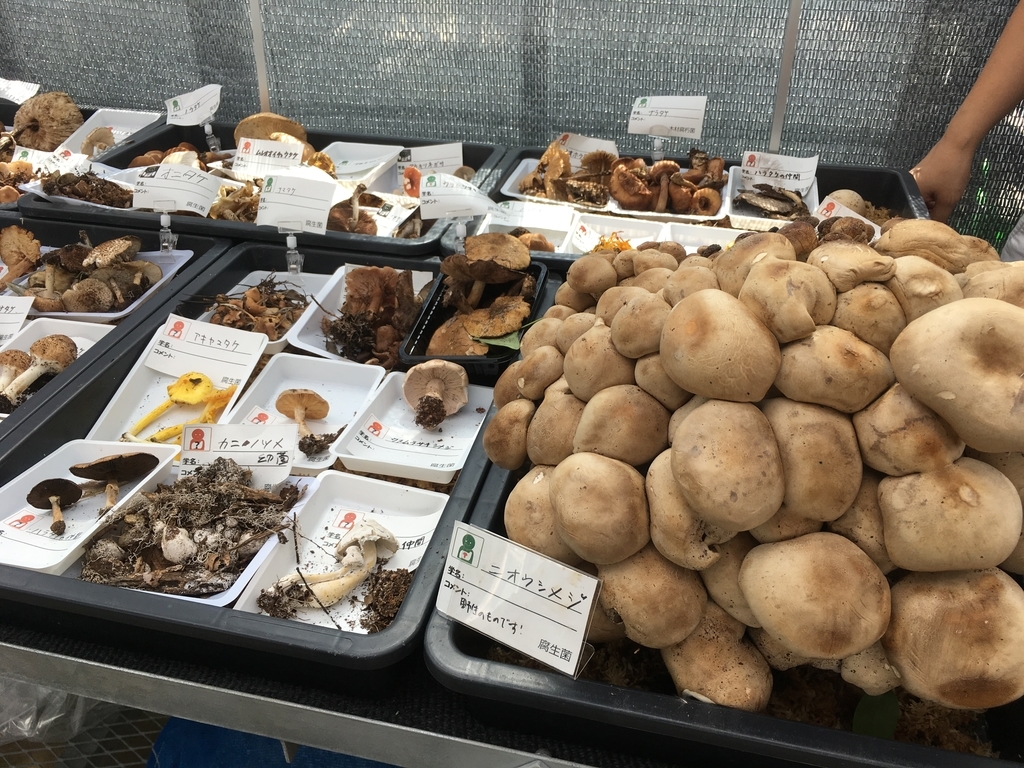 f:id:masayukigt:20180923143935j:plain f:id:masayukigt:20180923143935j:plain