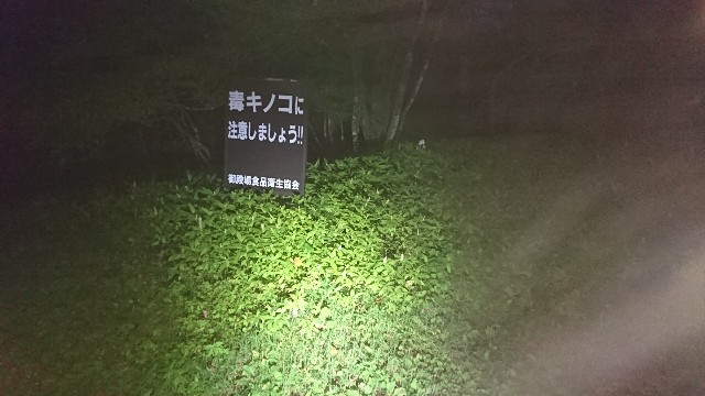 f:id:masayumex:20170913174704j:image f:id:masayumex:20170913174704j:image