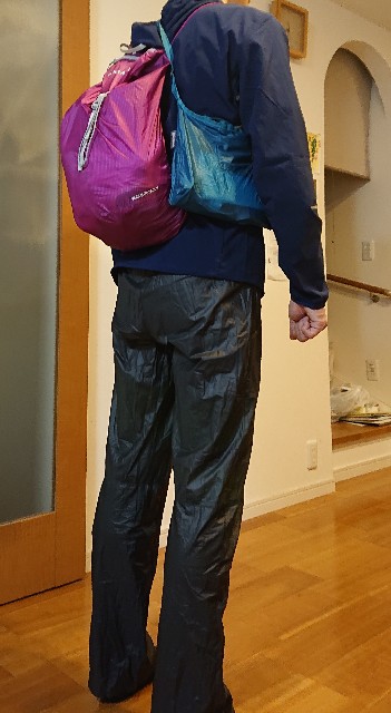 f:id:masayumex:20190407231423j:image f:id:masayumex:20190407231423j:image