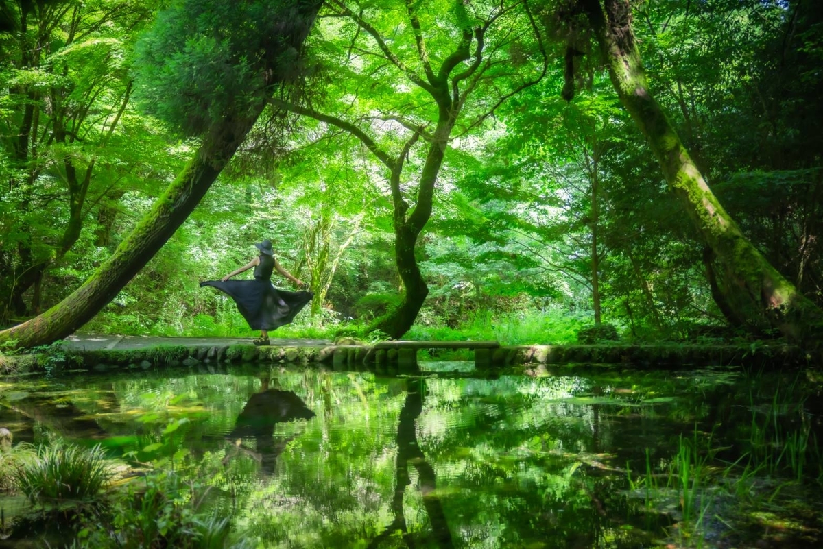 阿蘇郡産山村 山吹水源 ロケハン