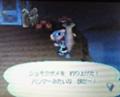 シュモクザメ
