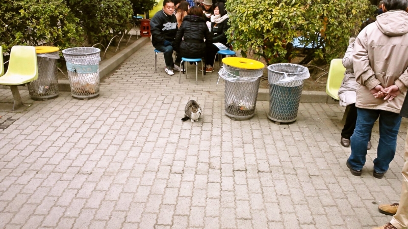 f:id:mash_jajp:20120211210615j:plain