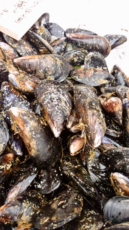 f:id:mash_jajp:20131124213429j:plain