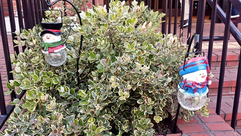 f:id:mash_jajp:20140403221533j:plain f:id:mash_jajp:20140403221533j:plain