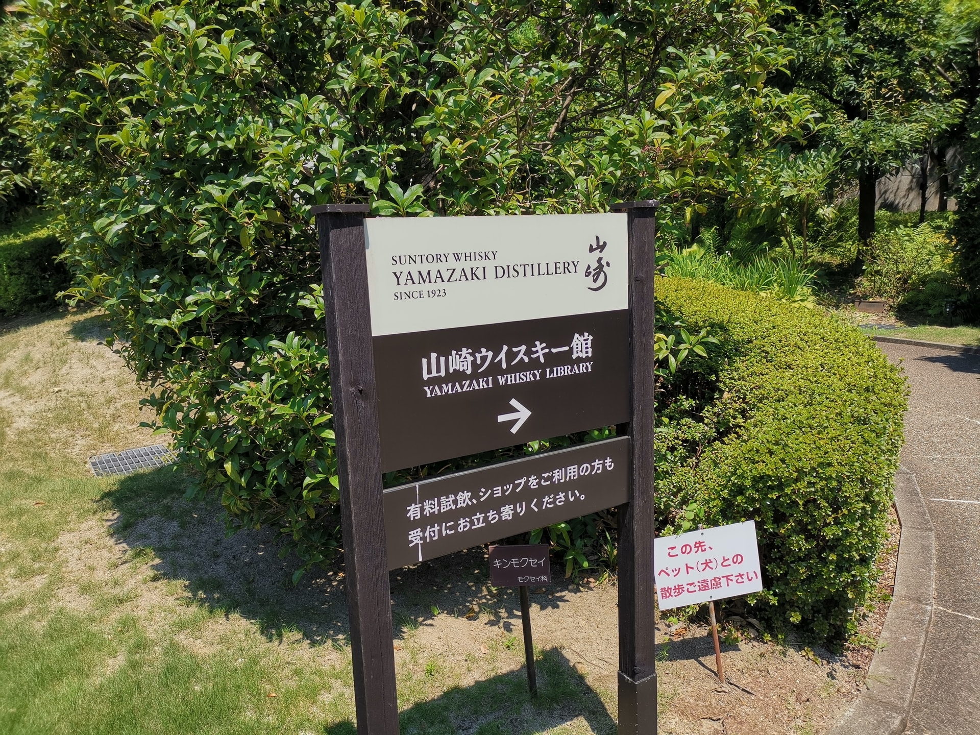 f:id:mash_jajp:20190815135737j:plain