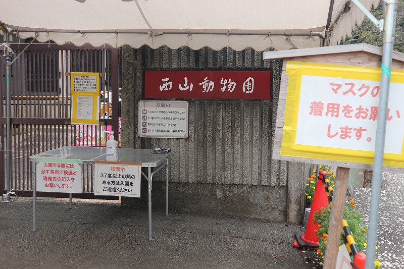f:id:mashigure:20201010170703j:plain