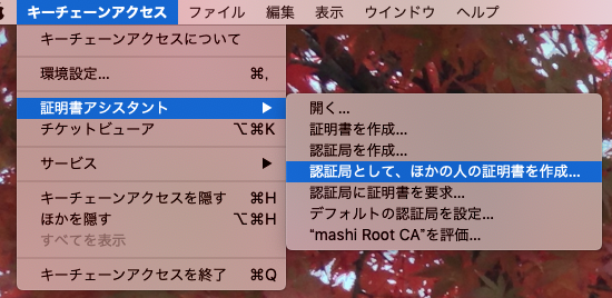 f:id:mashijp:20190414212254p:plain