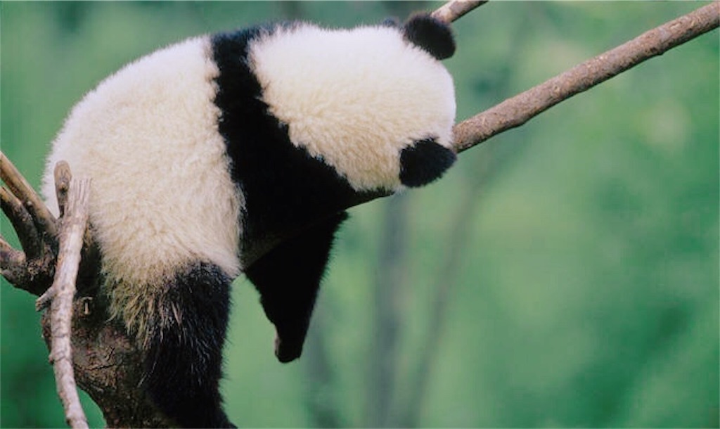 f:id:mashimashixxx:20181003105810j:image