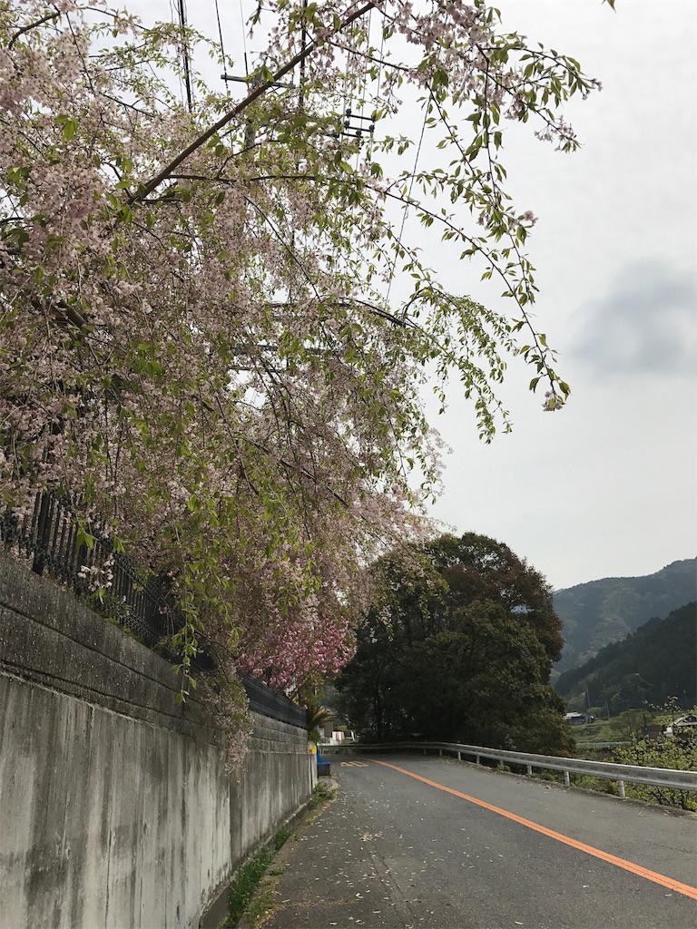f:id:mashin88:20170422212554j:image f:id:mashin88:20170422212554j:image