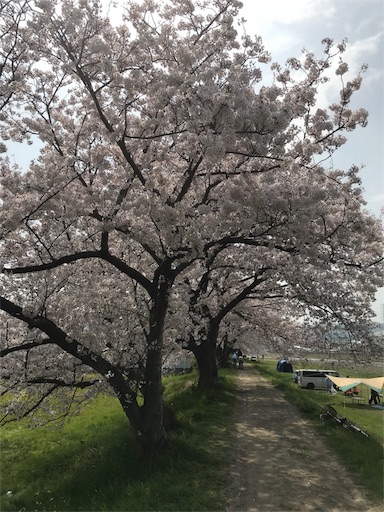 f:id:mashin88:20180401235151j:image f:id:mashin88:20180401235151j:image