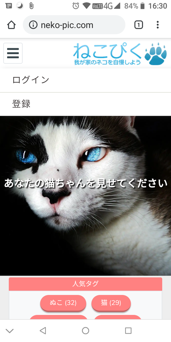 f:id:mashiro_ruka:20190705134559p:plain f:id:mashiro_ruka:20190705134559p:plain