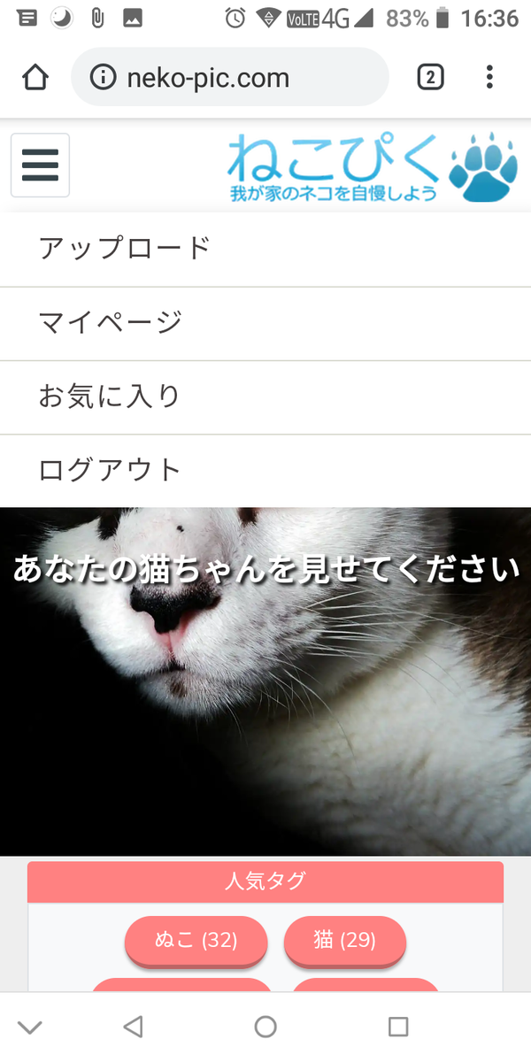 f:id:mashiro_ruka:20190705134617p:plain f:id:mashiro_ruka:20190705134617p:plain