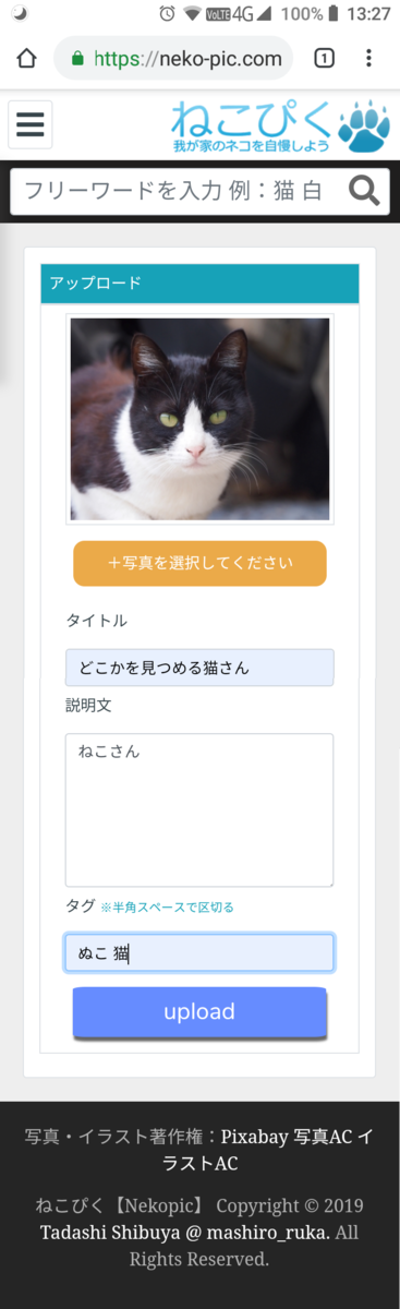 f:id:mashiro_ruka:20190705134726p:plain f:id:mashiro_ruka:20190705134726p:plain