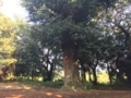 20170826181832