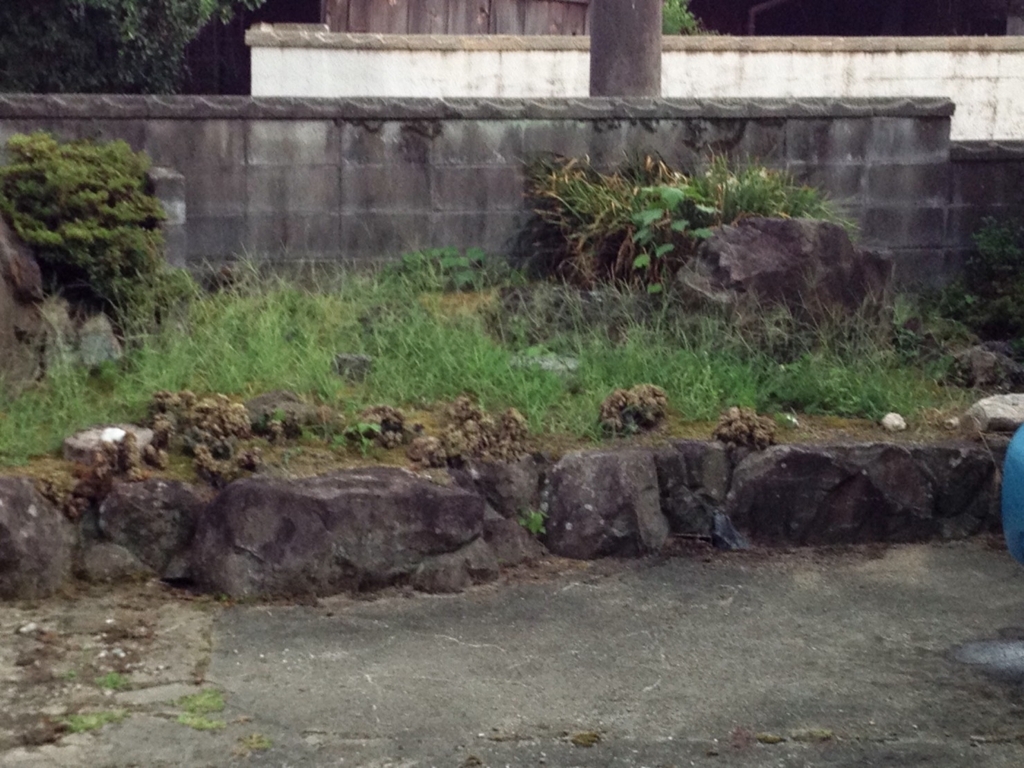 f:id:mashirokurosou:20180821161531j:plain f:id:mashirokurosou:20180821161531j:plain
