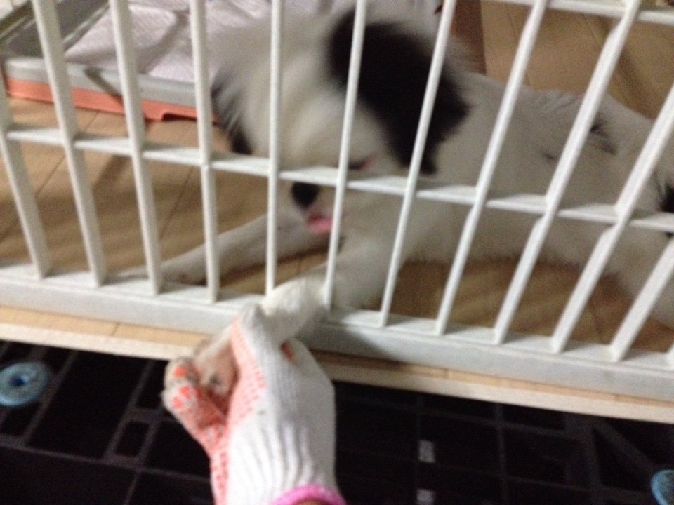 f:id:mashirokurosou:20180926122731j:plain f:id:mashirokurosou:20180926122731j:plain