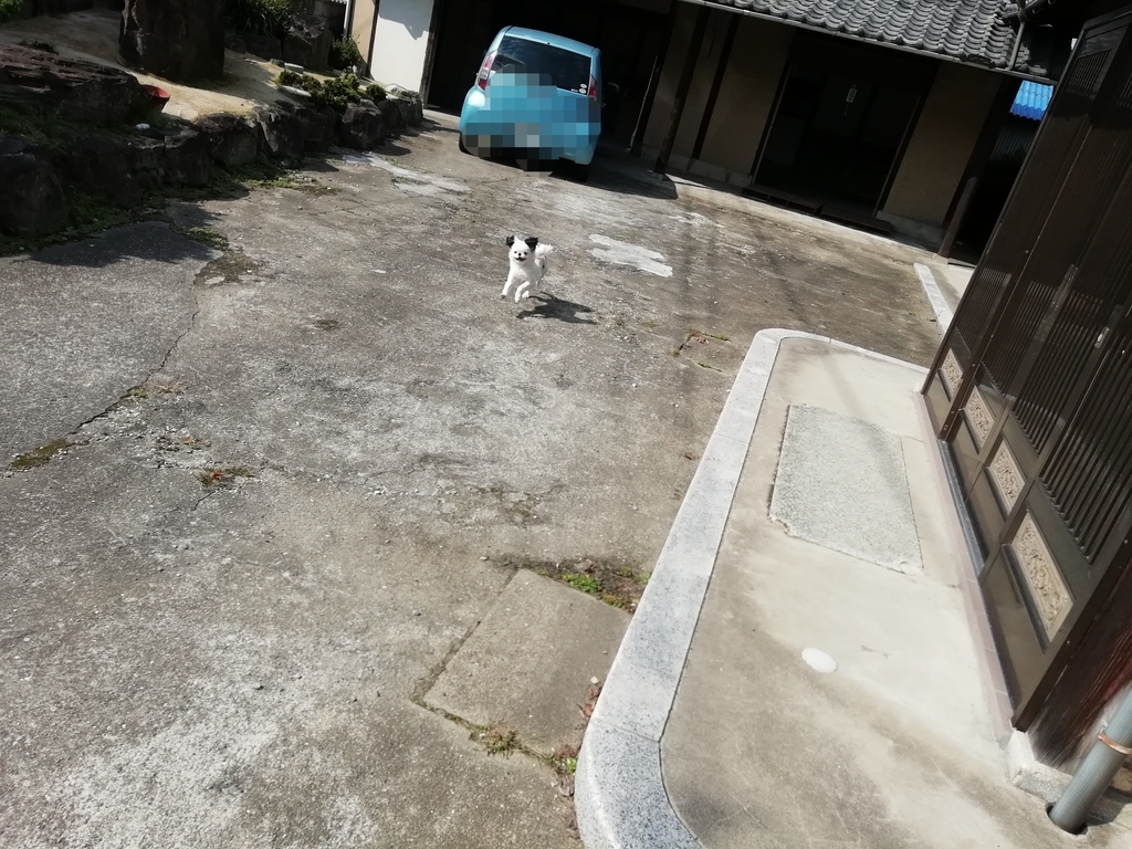 f:id:mashirokurosou:20181015160240j:plain f:id:mashirokurosou:20181015160240j:plain