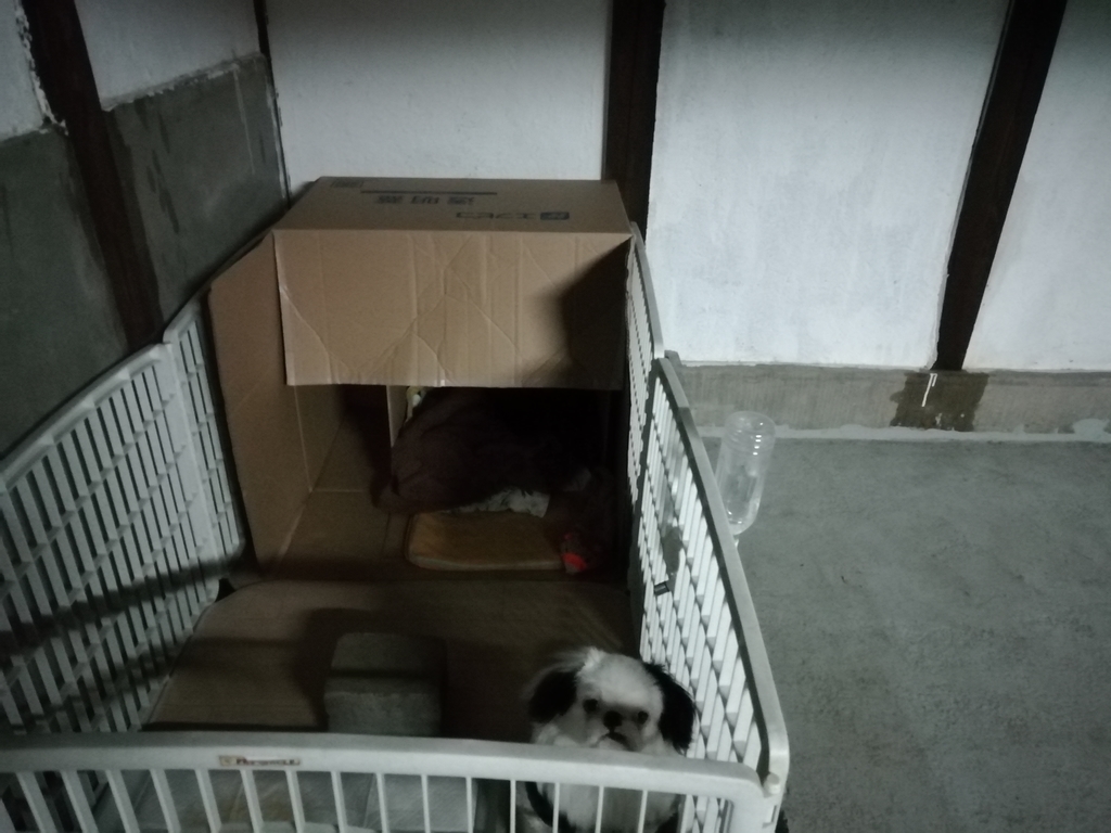 f:id:mashirokurosou:20181122232629j:plain f:id:mashirokurosou:20181122232629j:plain