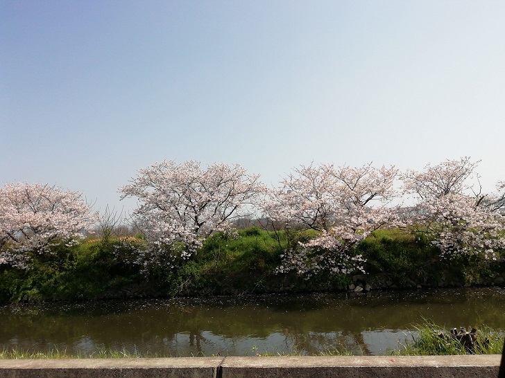f:id:mashirokurosou:20190409110812j:plain f:id:mashirokurosou:20190409110812j:plain