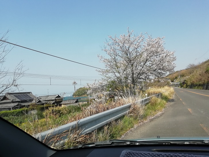 f:id:mashirokurosou:20190409110826j:plain f:id:mashirokurosou:20190409110826j:plain