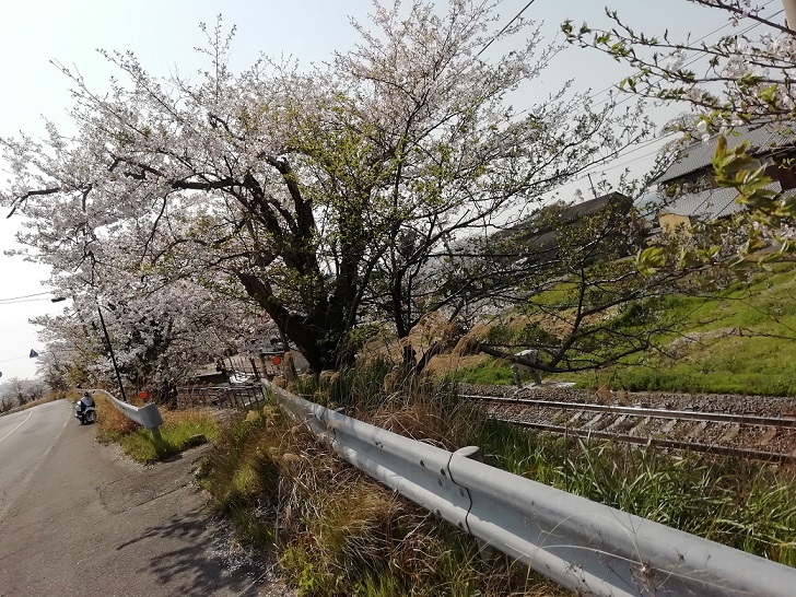 f:id:mashirokurosou:20190409110831j:plain f:id:mashirokurosou:20190409110831j:plain