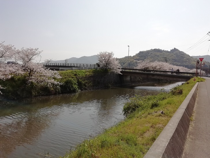 f:id:mashirokurosou:20190409110834j:plain f:id:mashirokurosou:20190409110834j:plain