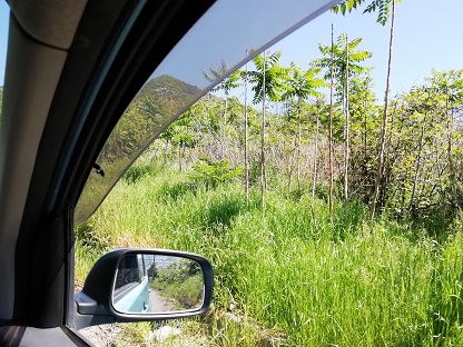 f:id:mashirokurosou:20190507214702j:plain f:id:mashirokurosou:20190507214702j:plain