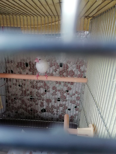 f:id:mashirokurosou:20190822224651j:plain f:id:mashirokurosou:20190822224651j:plain