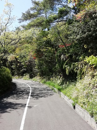 f:id:mashirokurosou:20200425201517j:plain f:id:mashirokurosou:20200425201517j:plain
