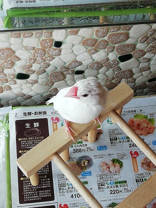 f:id:mashirokurosou:20200605130823j:plain f:id:mashirokurosou:20200605130823j:plain