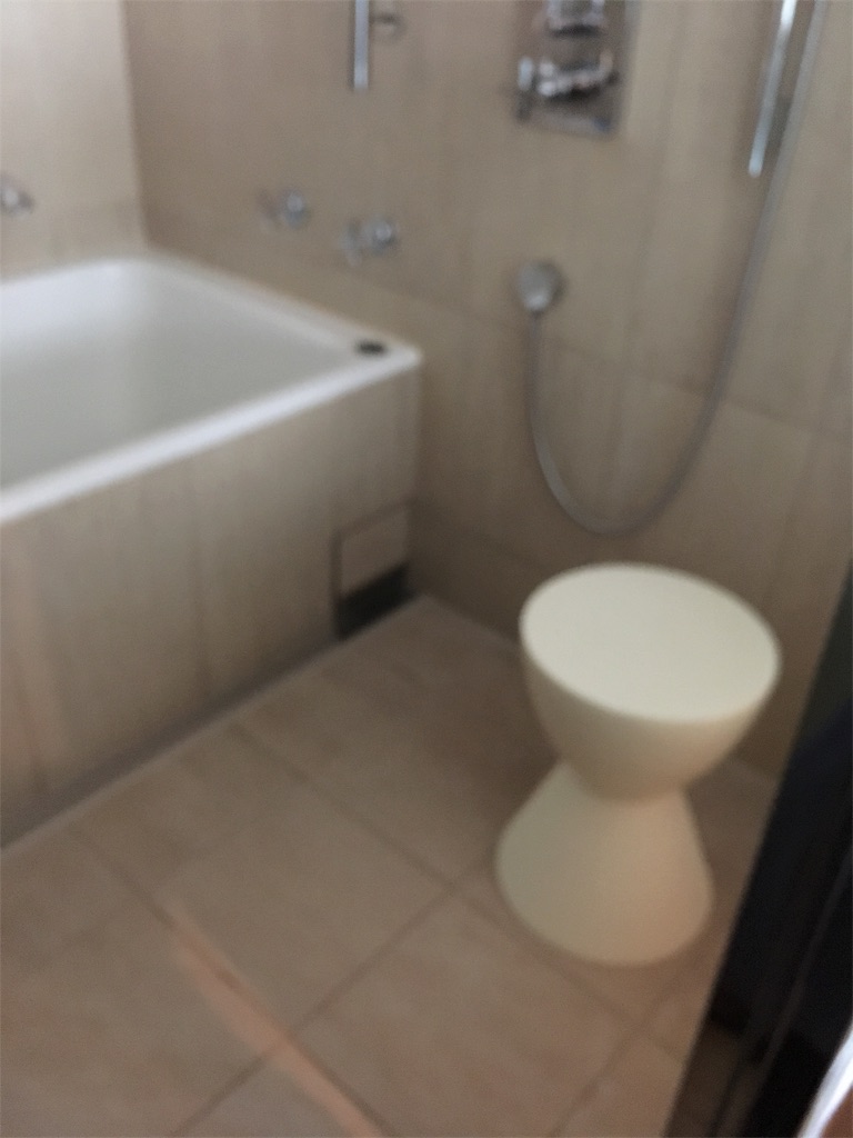 f:id:mashley_slt:20171011201218j:image