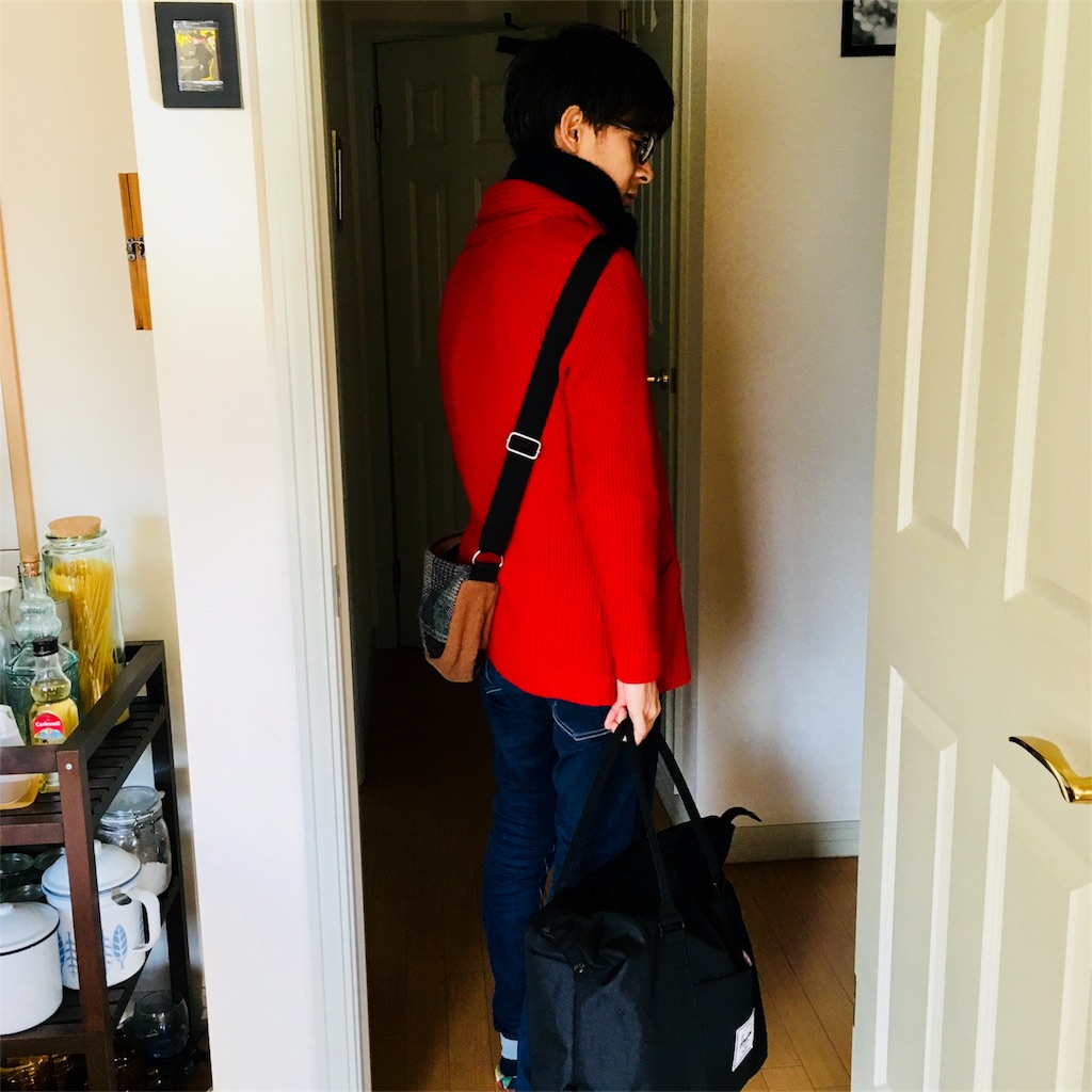 f:id:mashley_slt:20171205134334j:image