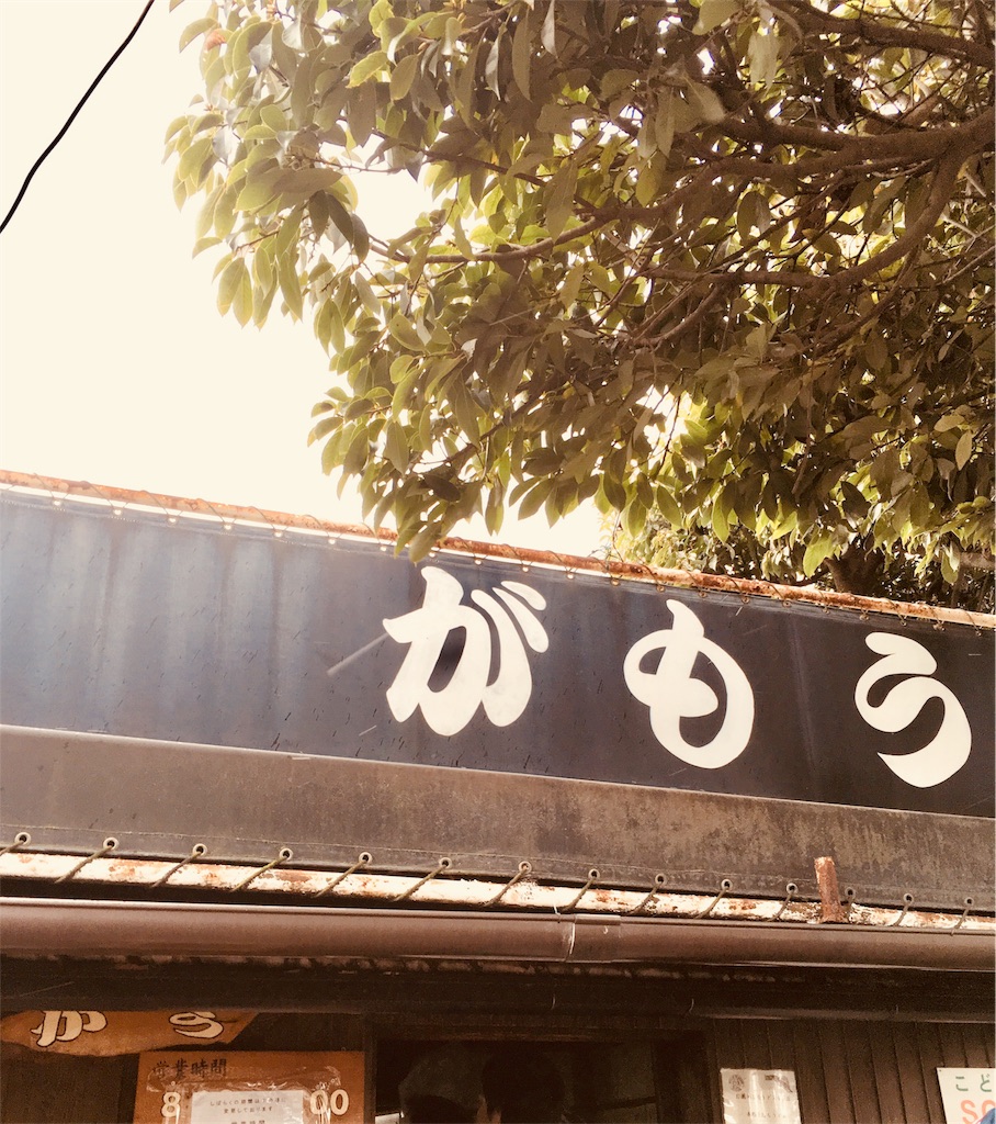 f:id:mashley_slt:20171205134818j:image