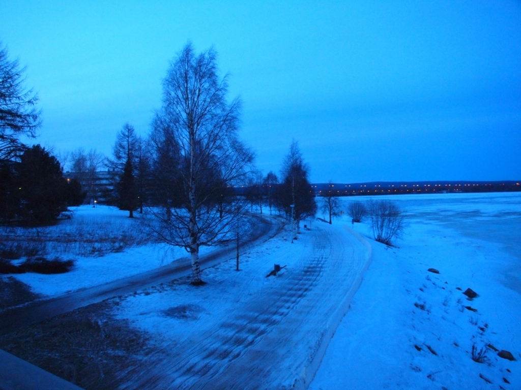 f:id:mashley_slt:20171221170434j:plain