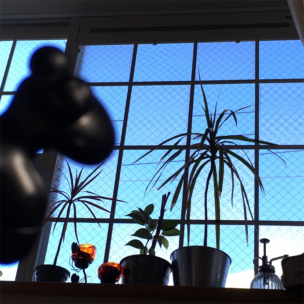 f:id:mashley_slt:20171225164106j:image f:id:mashley_slt:20171225164106j:image