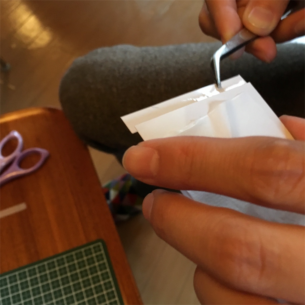 f:id:mashley_slt:20171231220720j:image