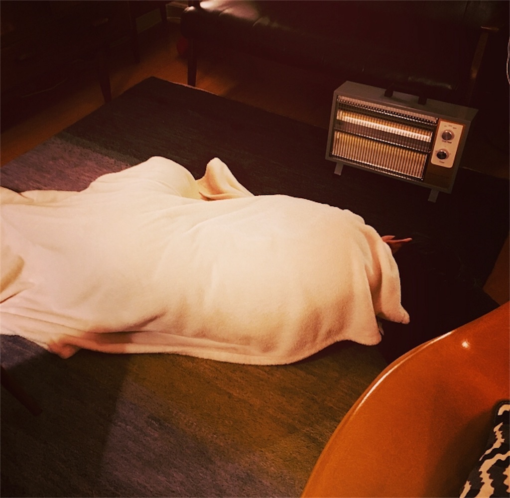 f:id:mashley_slt:20171231231024j:image