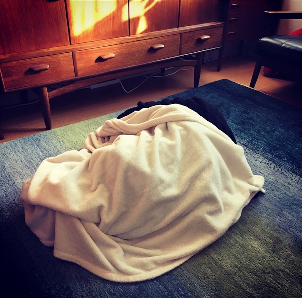 f:id:mashley_slt:20180103224413j:image