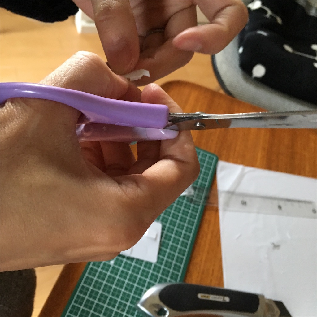 f:id:mashley_slt:20180106120349j:image