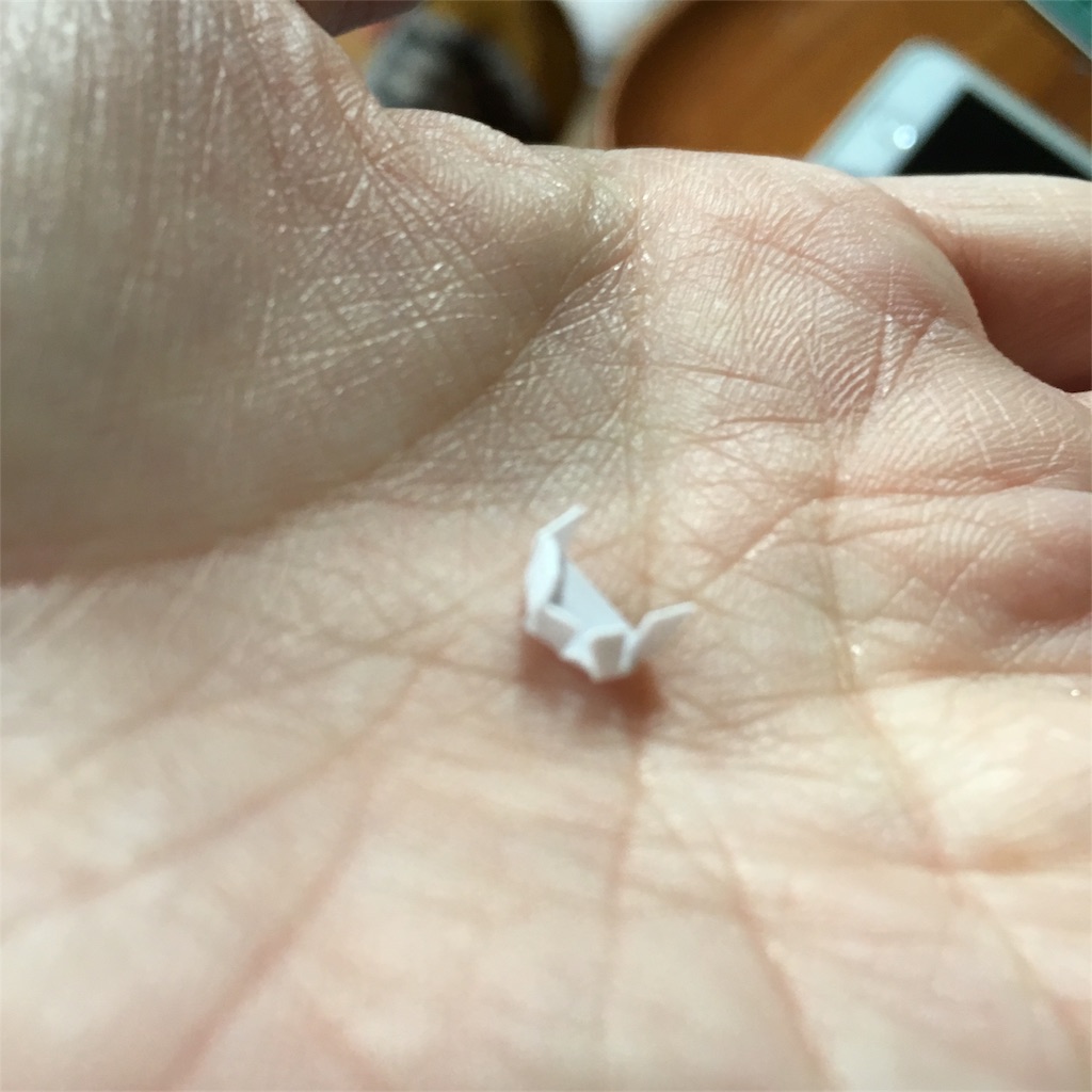 f:id:mashley_slt:20180106121151j:image