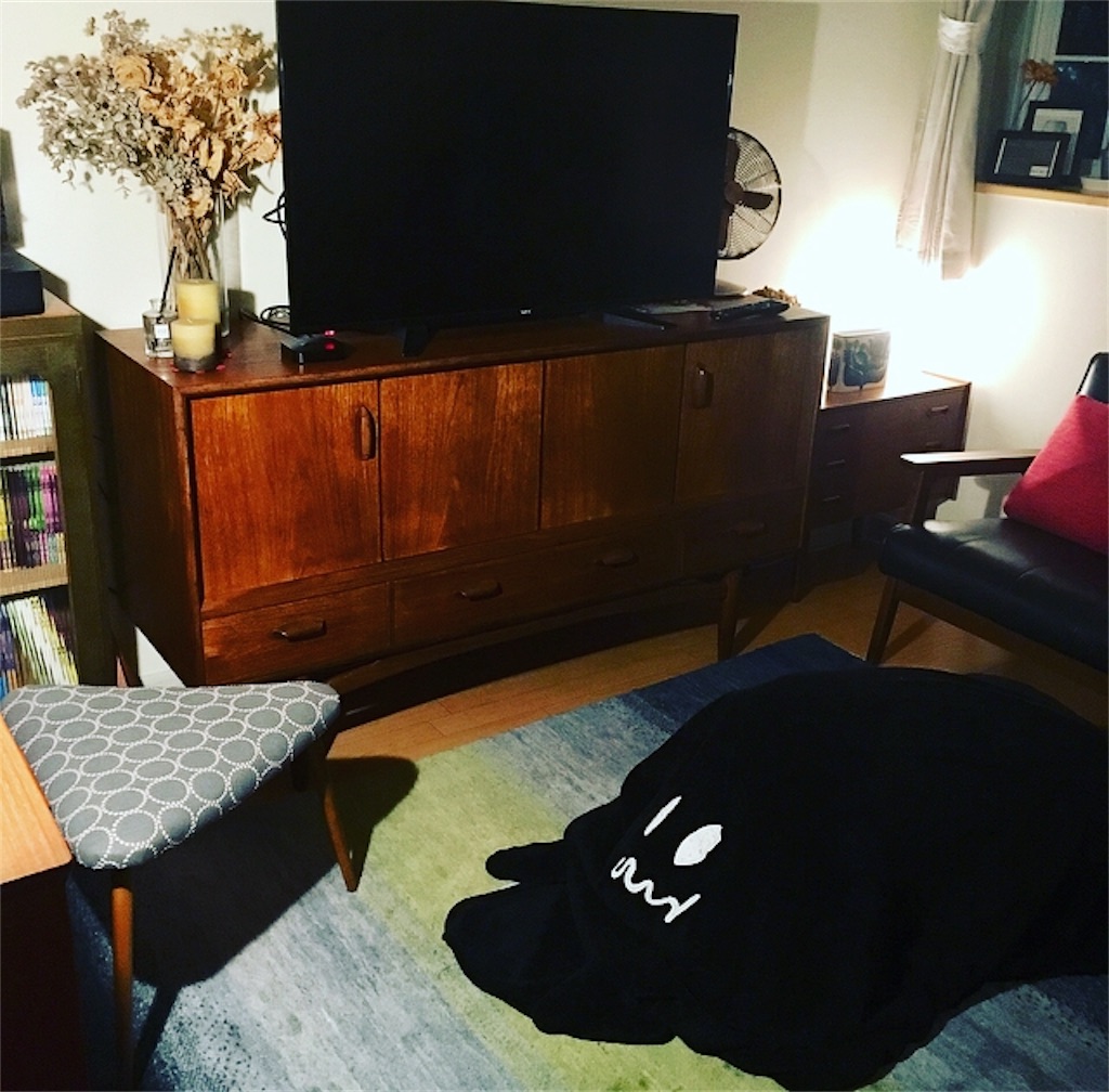 f:id:mashley_slt:20180107215213j:image