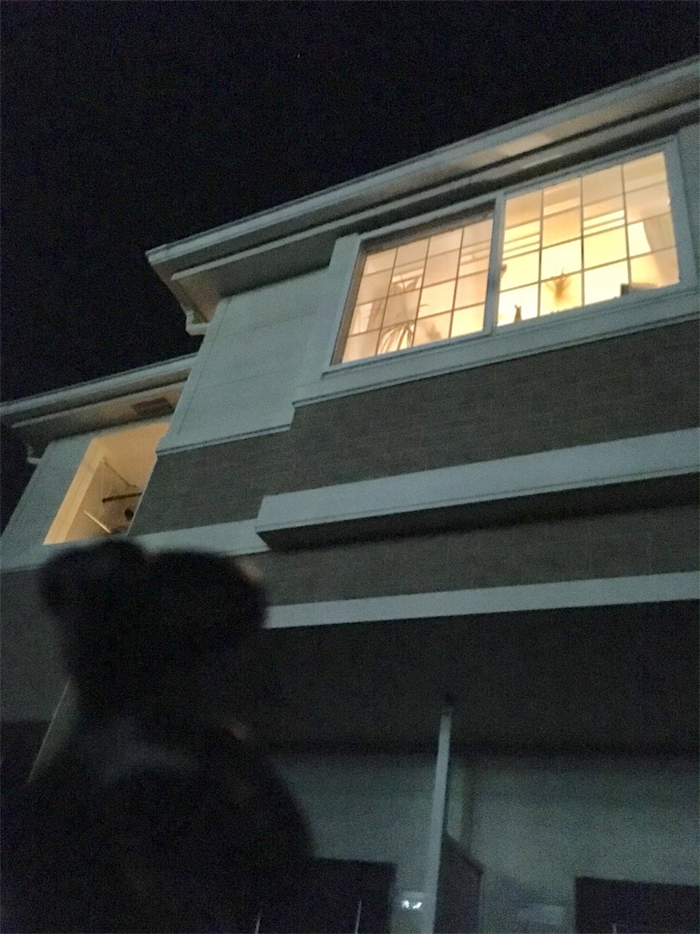 f:id:mashley_slt:20180115223851j:image