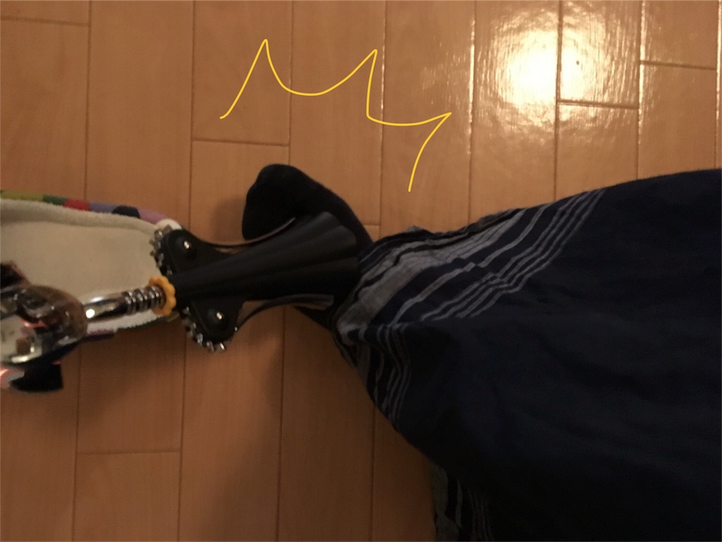 f:id:mashley_slt:20180122214200j:image